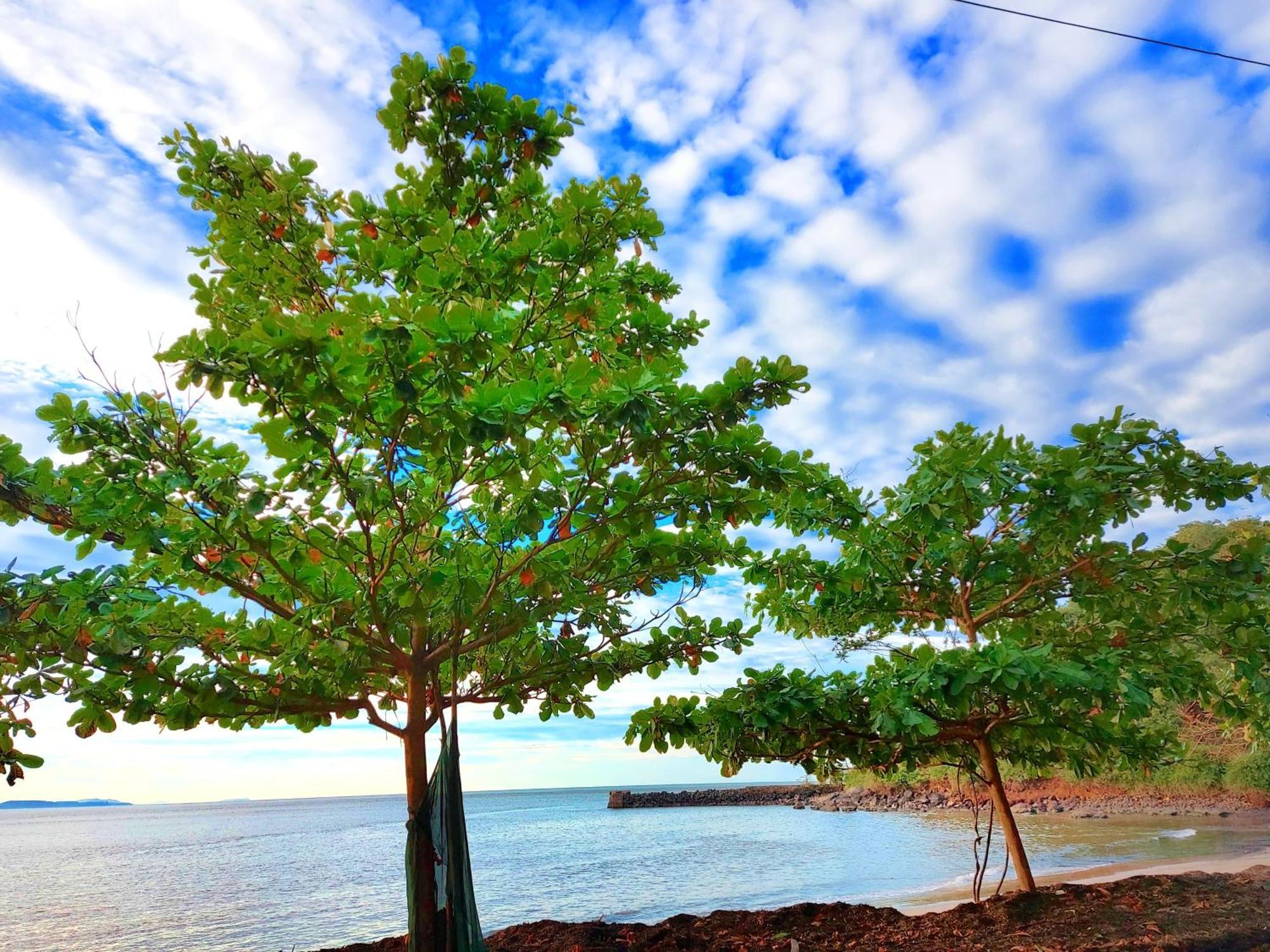 Navni Beach View Stay Gokarna  Exterior photo